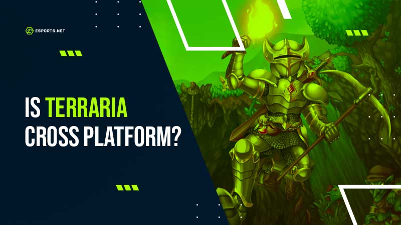 Is Terraria Cross-platform ᐅ Does Terraria have Crossplay?